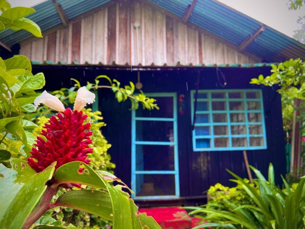 Flor De La Selva Apartment Puerto Narino Luaran gambar